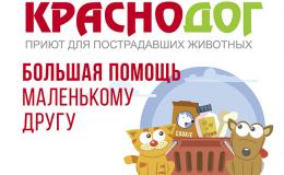 Помощь приюту для животных «Краснодог» | МАОУ СОШ 71 Краснодар